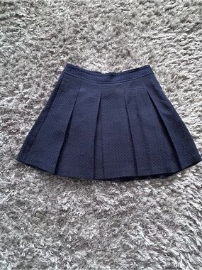 Jacob Chic Navy Textured Pleated Skater Skirt